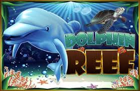 dolphin-reef-1